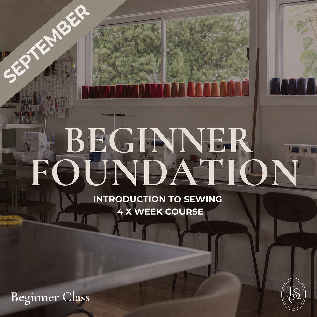 Beginner Foundation | 4 Week Course